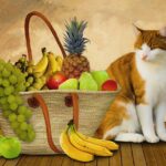 La importancia de la Vitamina C en la salud de los gatos